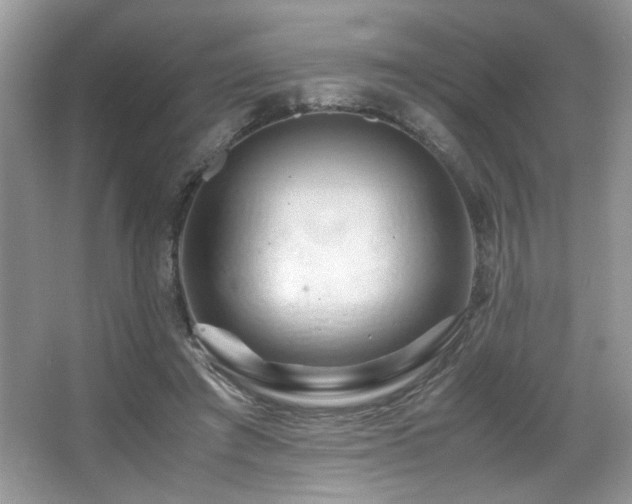 X0000066020401200603031254