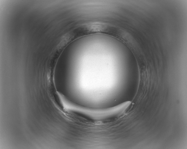 X0000066020406200603031254