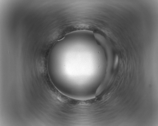 X0000066020416200603031254