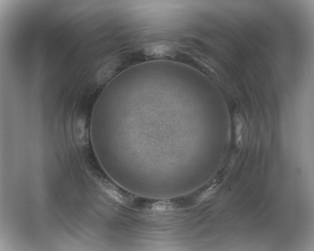X0000066020420200603031254