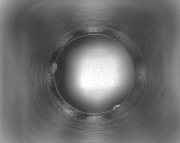 X0000066020422200603031254
