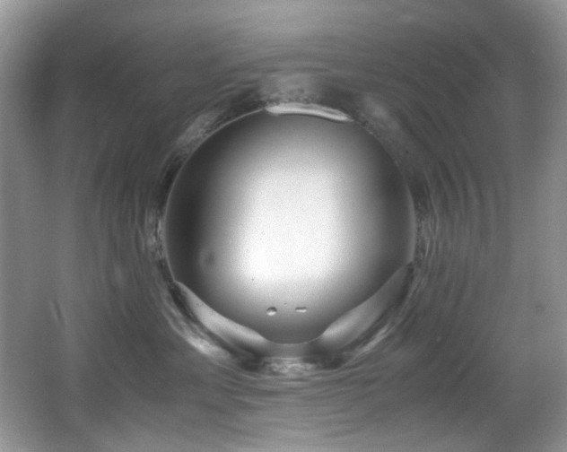 X0000066020429200603031254