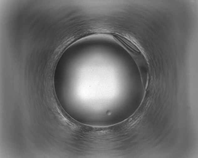 X0000066020433200603031253