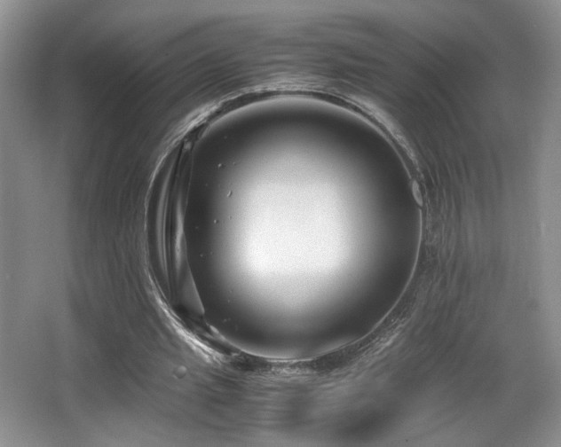X0000066020437200603031253