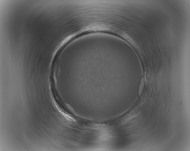 X0000066020438200603031253