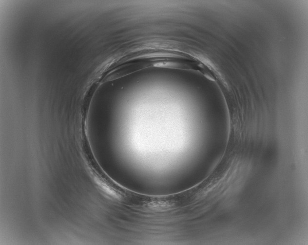 X0000066020445200603031253