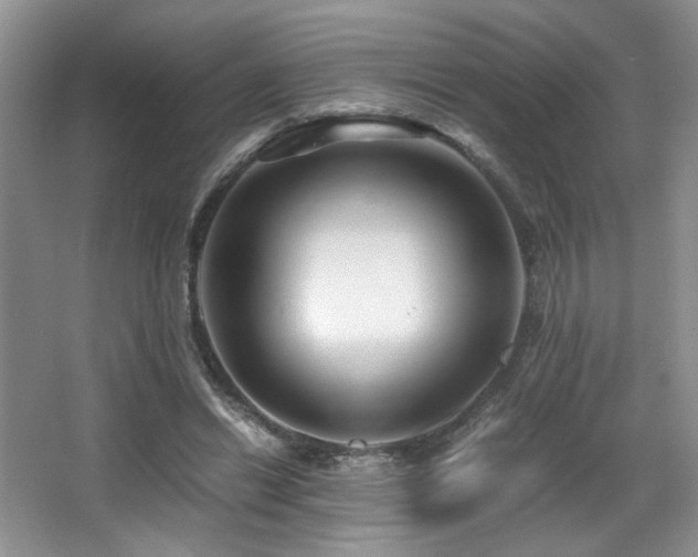 X0000066020446200603031253
