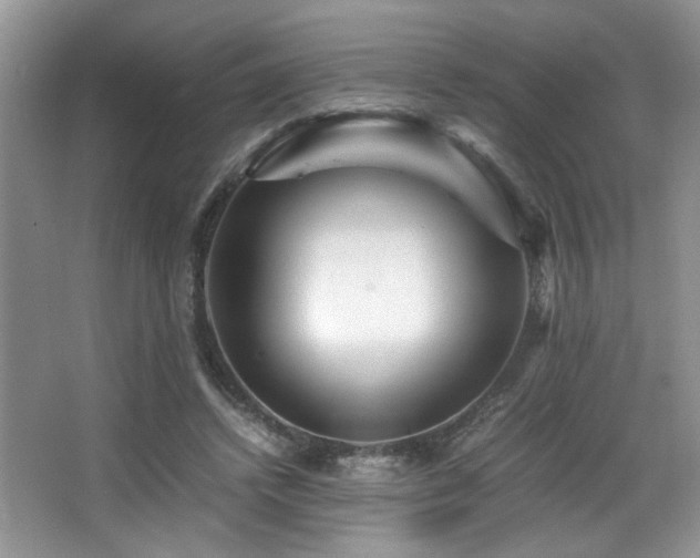 X0000066020448200603031253