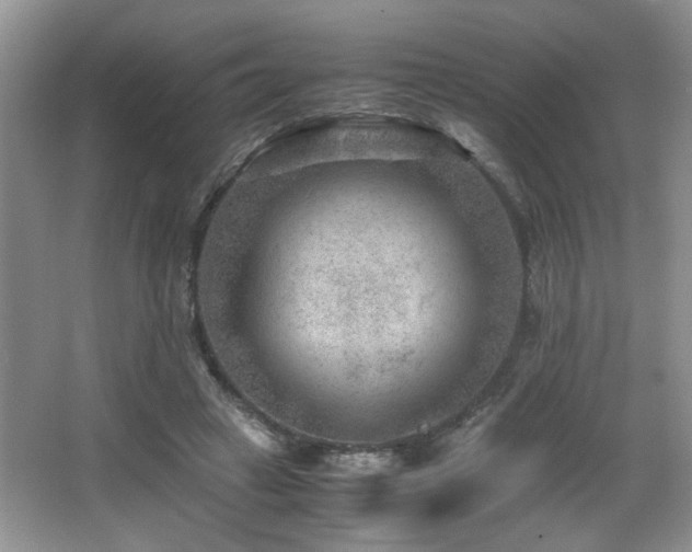 X0000066020449200603031253