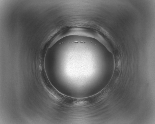X0000066020452200603031253