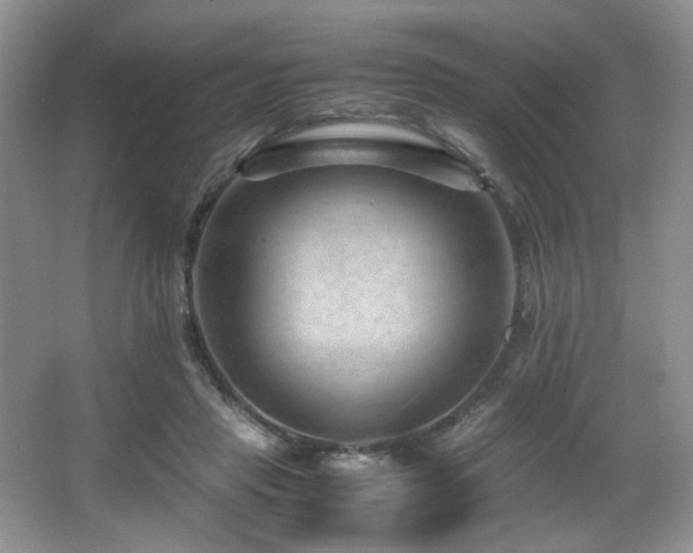 X0000066020453200603031253
