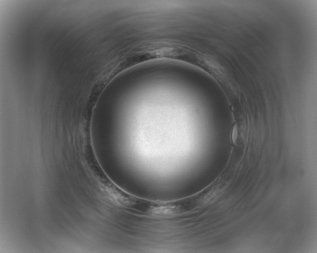 X0000066020461200603031253