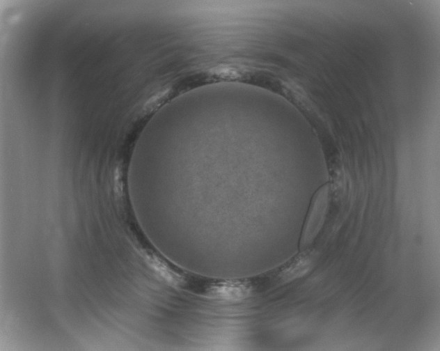 X0000066020466200603031254