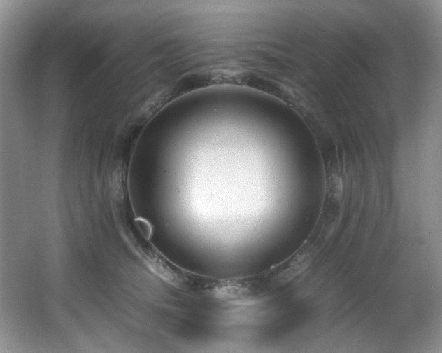 X0000066020468200603031254