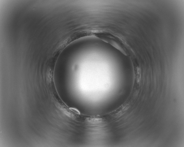 X0000066020476200603031254