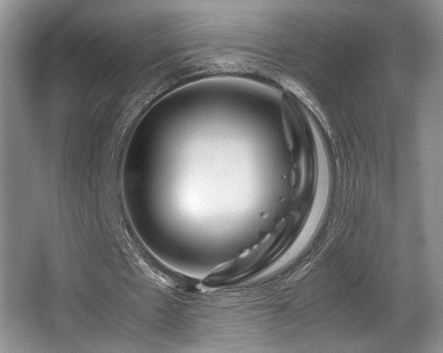 X0000066020481200603031253