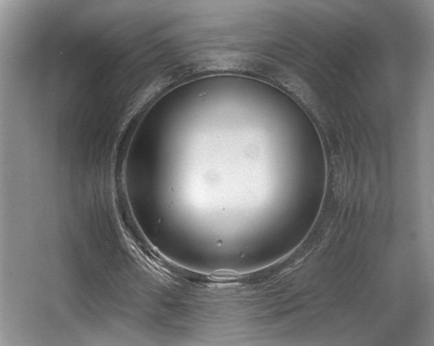 X0000066020482200603031253