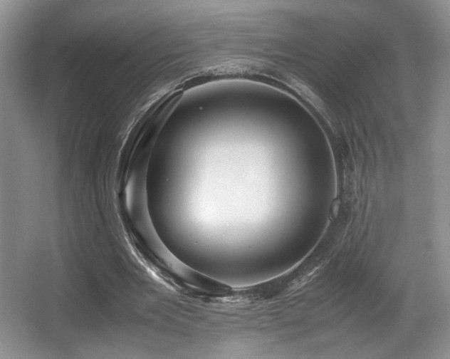 X0000066020485200603031253