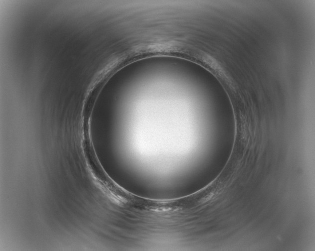 X0000066020486200603031253