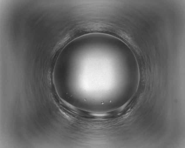 X0000066020489200603031253