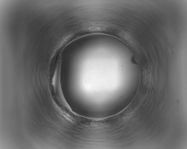 X0000066020490200603031253