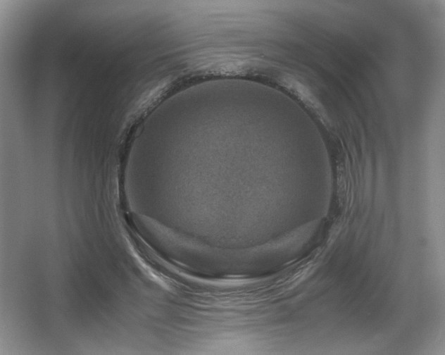 X0000066020493200603031253