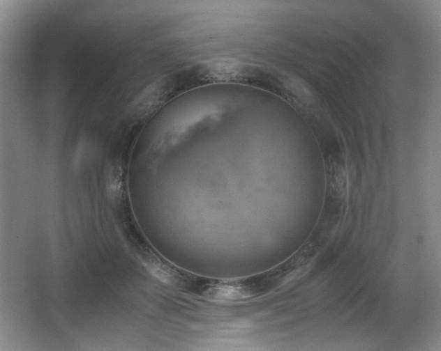 X0000066020507200603031253