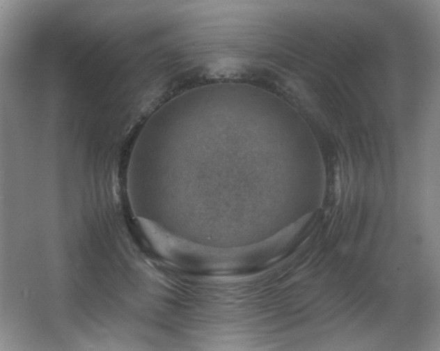 X0000066020508200603031252