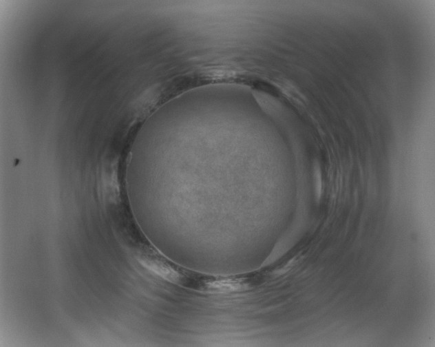 X0000066020516200603031252