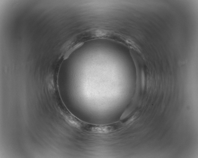 X0000066020524200603031252