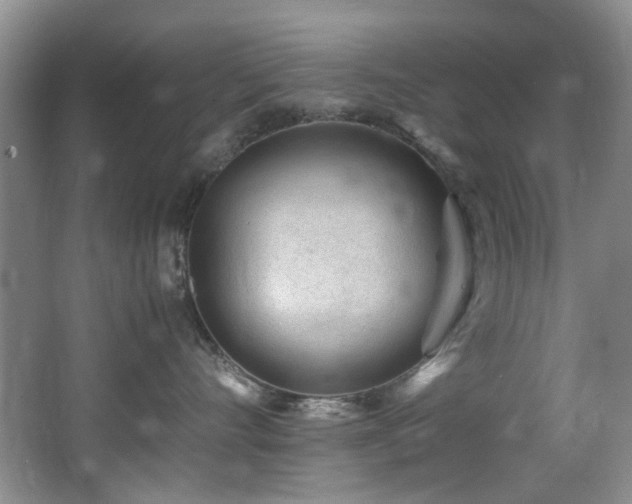 X0000066020528200603031252