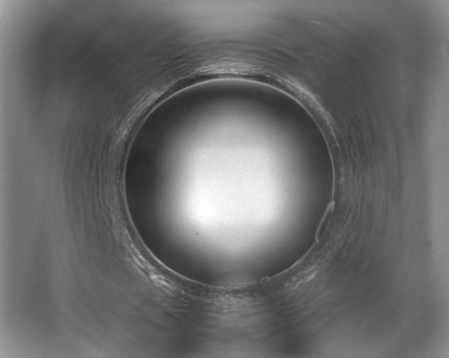 X0000066020529200603031251