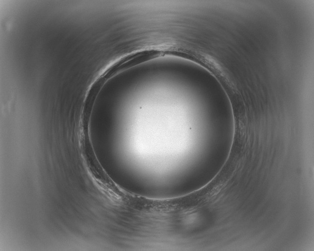 X0000066020532200603031251