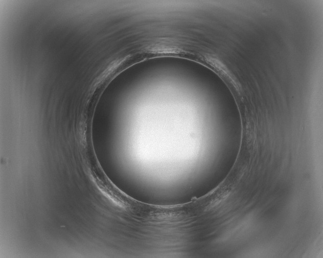 X0000066020533200603031251