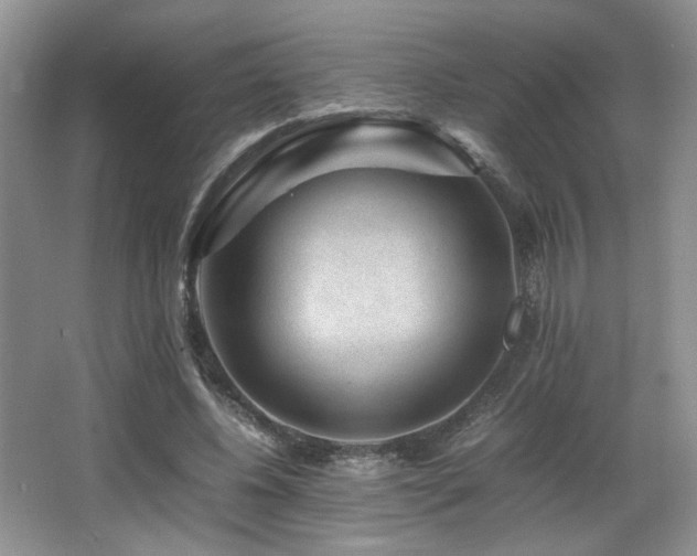 X0000066020540200603031252