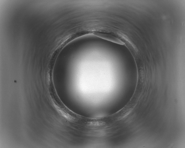 X0000066020541200603031252