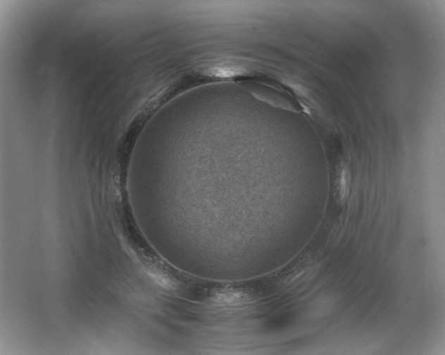 X0000066020547200603031252