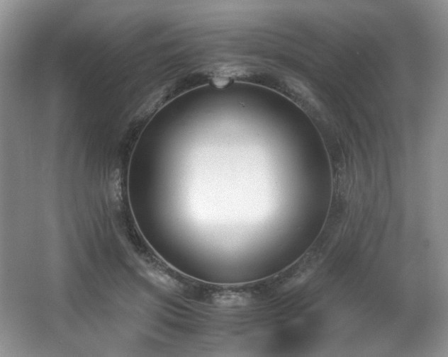 X0000066020549200603031252
