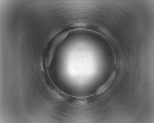 X0000066020552200603031252