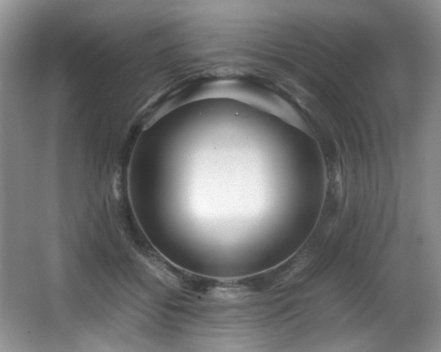 X0000066020556200603031252