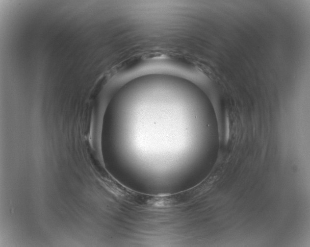 X0000066020564200603031252