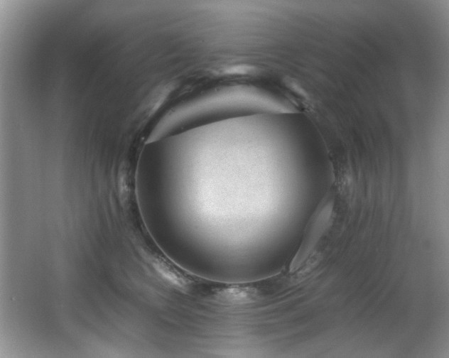 X0000066020566200603031252