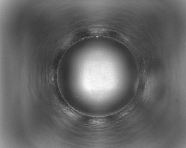 X0000066020567200603031252