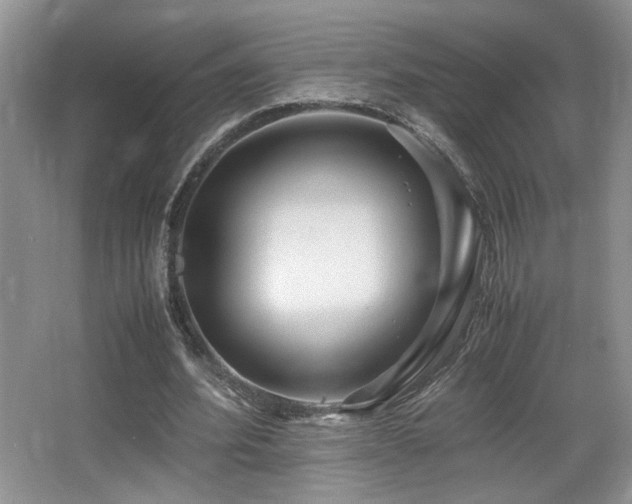 X0000066020580200603031251