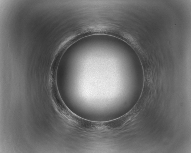 X0000066020583200603031251