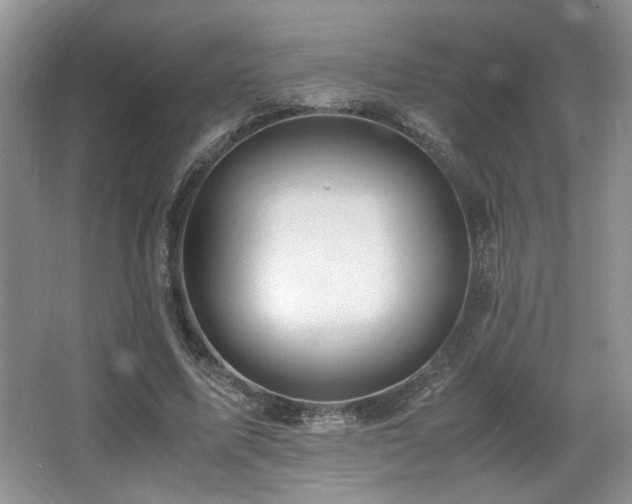 X0000066020587200603031251