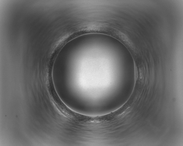 X0000066020588200603031251