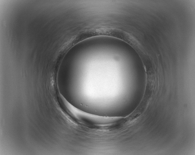 X0000066020593200603031251
