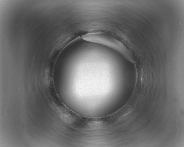 X0000066020594200603031251
