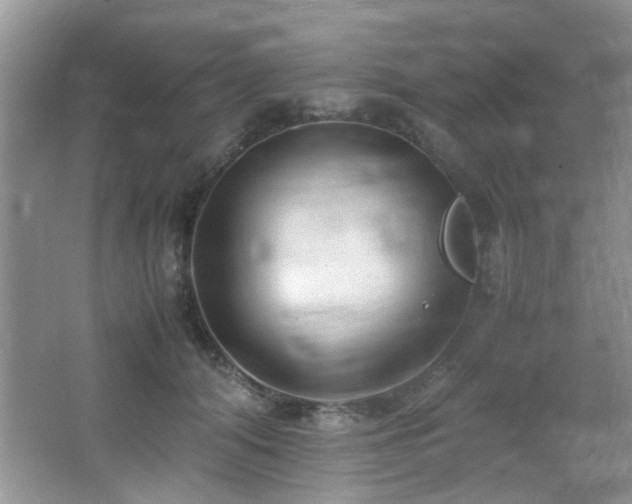 X0000066020608200603031251